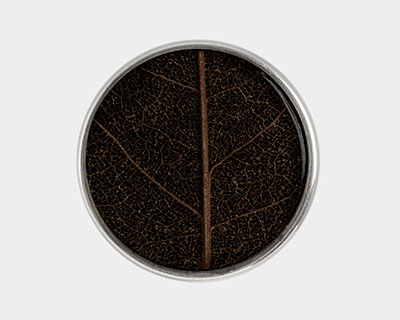 Valentins-Chunk 2026 Daphne