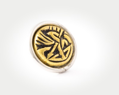 Chunk Coins - daric