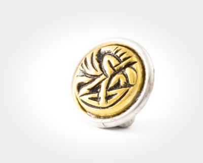 Chunk Coins - daric