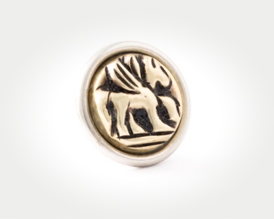 Chunk Coins - pegasus