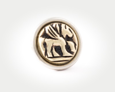 Chunk Coins - pegasus
