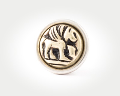 Chunk Coins - pegasus