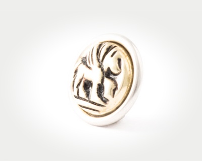 Chunk Coins - pegasus