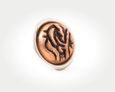 Chunk Coins - persian