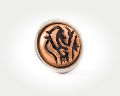 Chunk Coins - persian