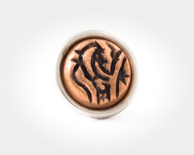 Chunk Coins - persian