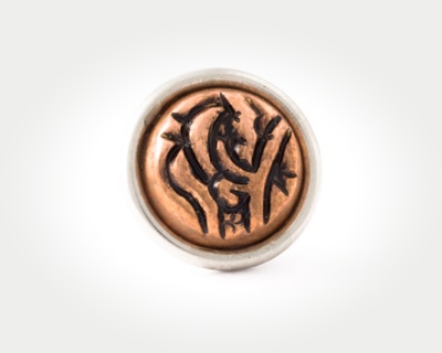 Chunk Coins - persian