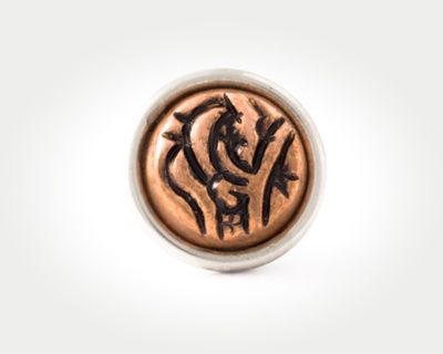 Chunk Coins - persian