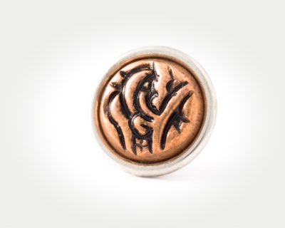 Chunk Coins - persian