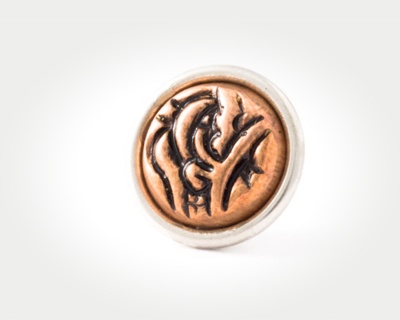Chunk Coins - persian