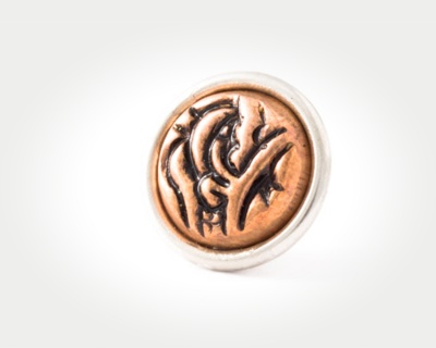 Chunk Coins - persian