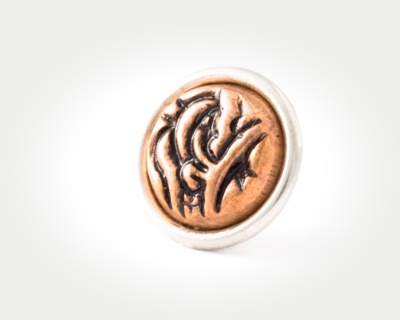 Chunk Coins - persian