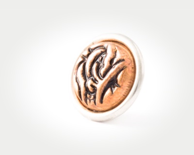 Chunk Coins - persian