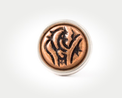 Chunk Coins - persian