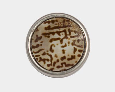 Chunk Cowrie Shell
