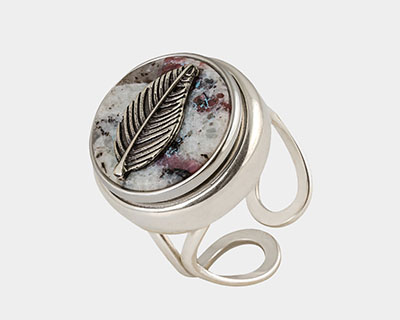 Ring Cassandra